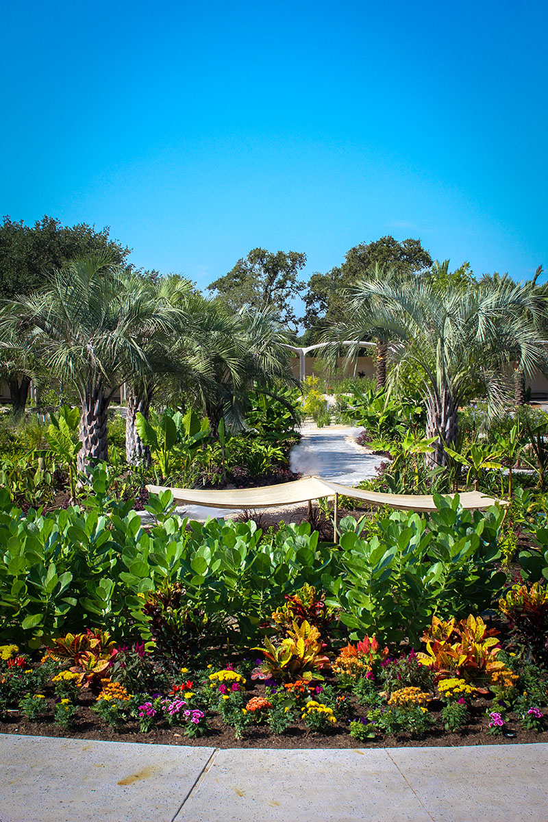 Houston Botanic Garden Opens