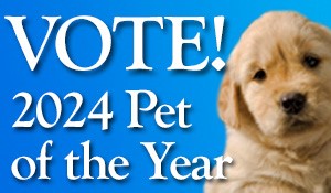 2024 Pet of the Year Contest