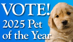 2025 Pet of the Year Contest