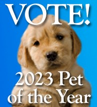 2023 Pet of the Year Contest
