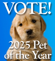 2025 Pet of the Year Contest