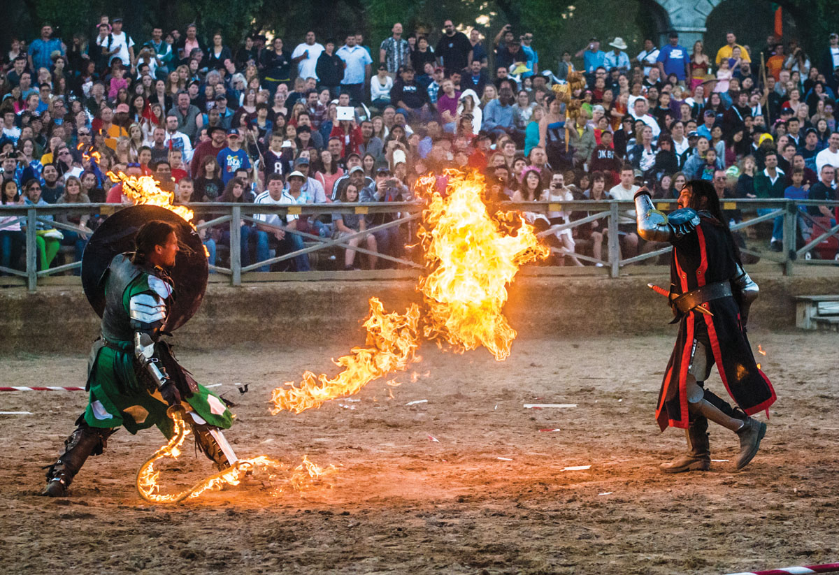 Texas Renaissance Festival.