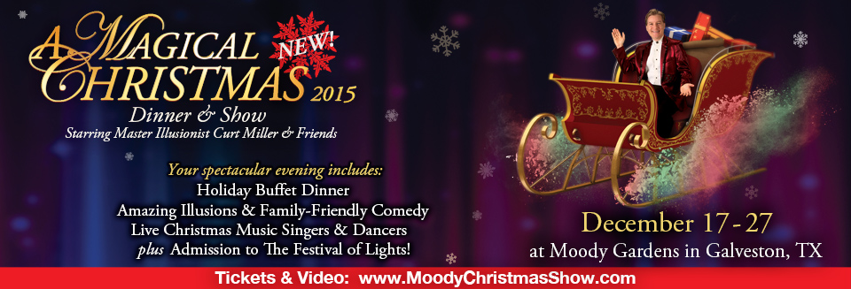 A Magical Christmas 2015 Dinner Show The Buzz Magazines