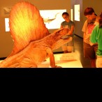 River Oaks resident Chance said his favorite exhibit was the dinosaur exhibit.
