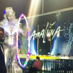 Cirque du Soleil's Amaluna