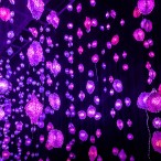 “Pixel Forest and Worry Will Vanish” by Pipilotti Rist 