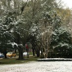 Snow in Bellaire