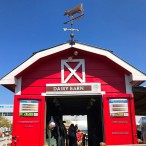 The Dairy Barn at Fun on the Farm 