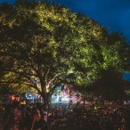 Tree and crowd