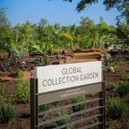 Global Collection Garden