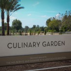Culinary garden