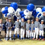 Post Oak Little League Blue Devils