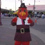 Turkey costume