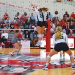 Tess Stephenson, Sarah Hickman