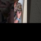 Bellaire Fire Dept. rescues Rogi the cat
