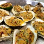 Gulf oysters