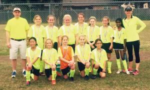Yellow Jackets