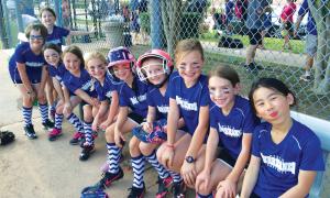 Team Ava