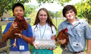Tommy Wen, Megan Gutierrez, Grady Jones