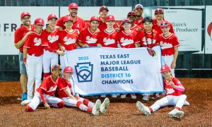 Bellaire Little League 12U District Team