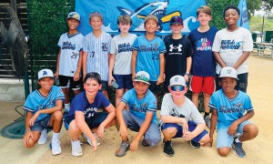 Bull Shark Baseball teams