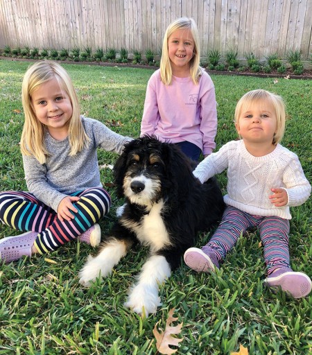 Emily Davis, Ella Davis, Evelyn Davis