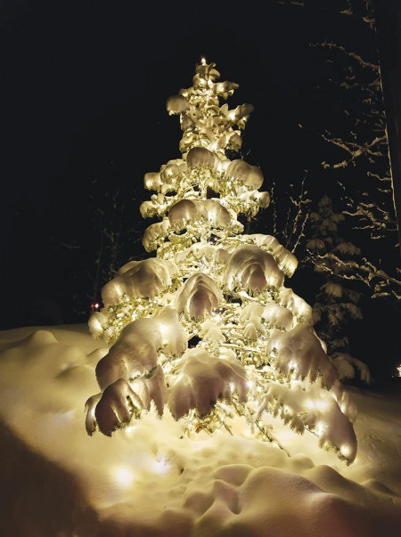Snow-covered trees lit up for Christmas in Deer Valley