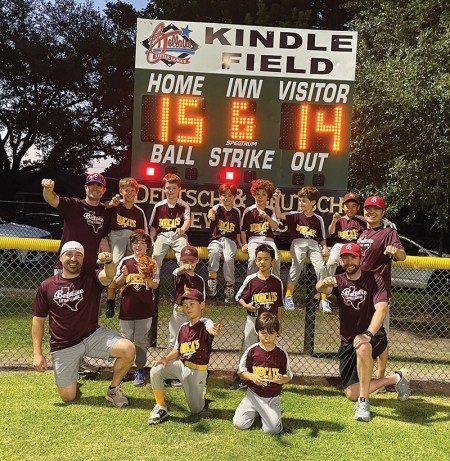 Bellaire Little League Texas Bobcats