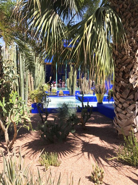 Majorelle Garden