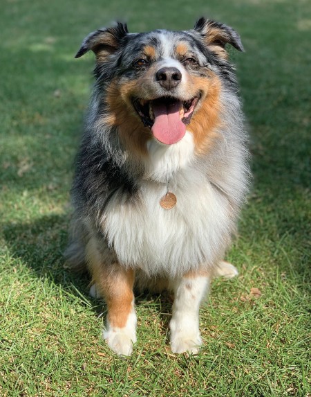 Finley