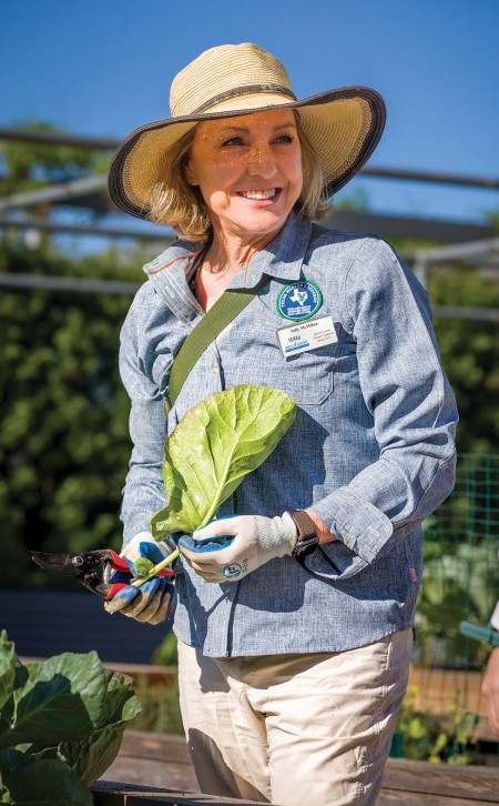 Sally McMillan