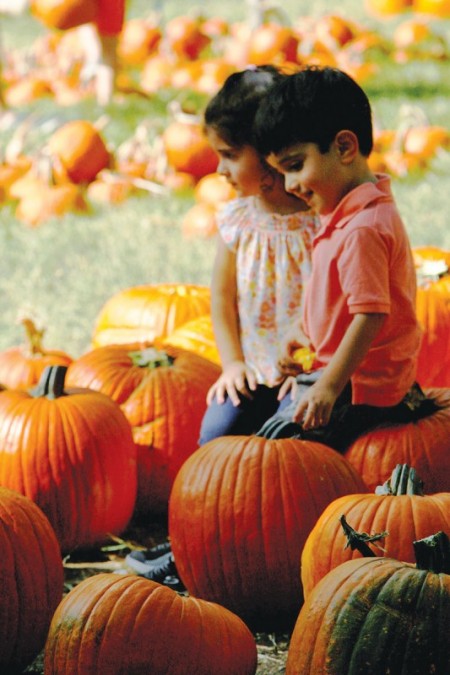 Pumpkin Patch Fall Festival