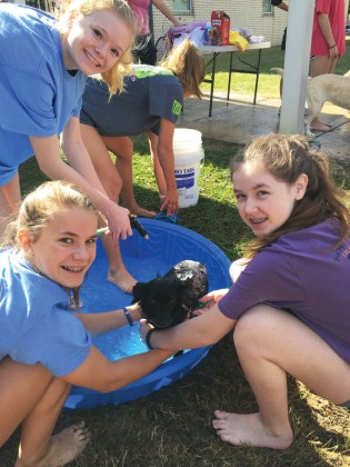 Kirby Koster, Audrey Crawford, Claire Loud