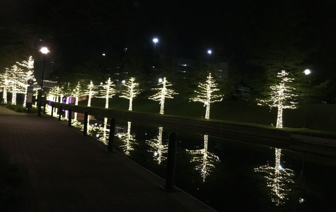 Woodlands Waterway at night