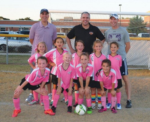 The 6U Pink Tigers