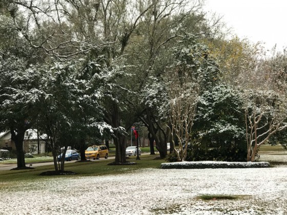 Snow in Bellaire