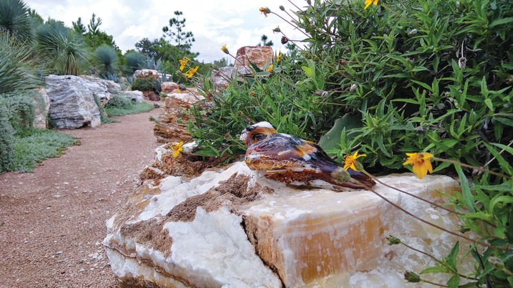 Houston Botanic Garden