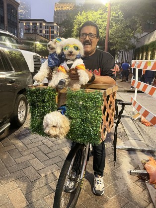 man on bike with dogs
