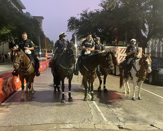 HPD horses