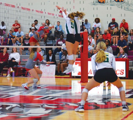 Tess Stephenson, Sarah Hickman