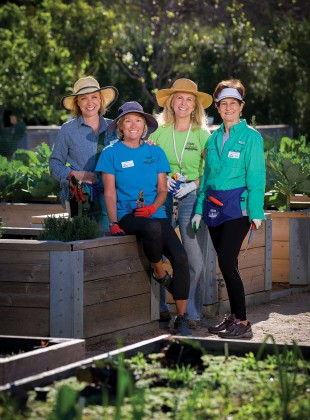 Sally McMillan, Jill Atmar, E. Jane Hughson-Myers, and Sharon McWhorter