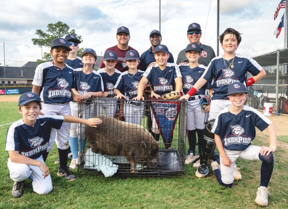 Post Oak Little League IronPigs