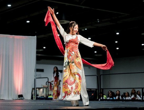 Viet Cultural Fest