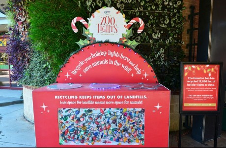 Christmas light recycling at Houston Zoo