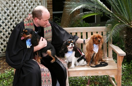 Evelyn's BARK and Blessing of the Animals