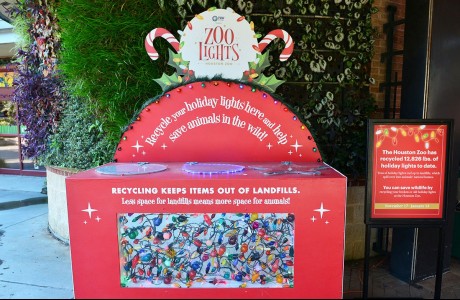 Christmas light recycling at Houston Zoo