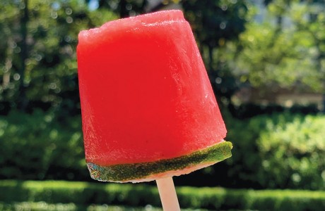 Minty Watermelon Margarita Poptails