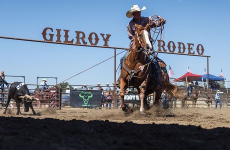 Grand Prize, Best Sign in Rodeo