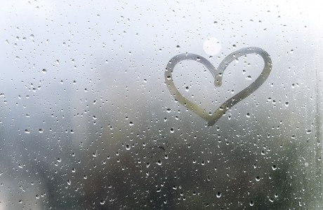 Heart after rain