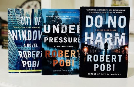 The Lucas Page series by Robert Pobi 